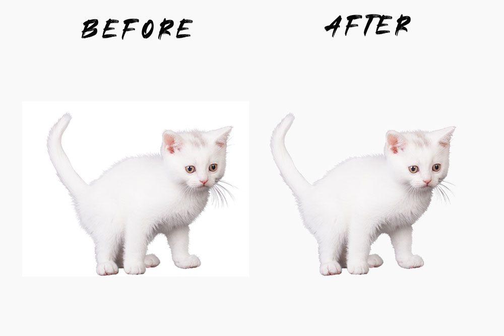 ghost mannequin effect service