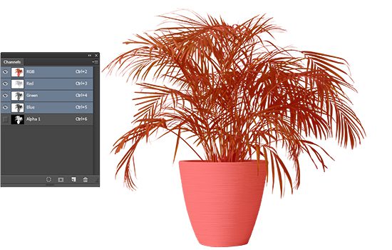 Professional Image Masking Service | ClippingPathWorld.com image masking service